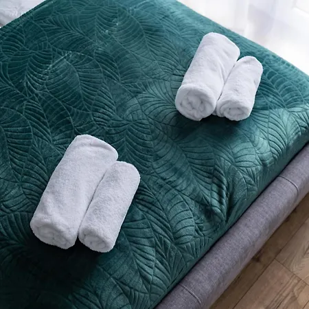 Apartament Rodzinny & Sauna Uzdrowiskowa By Rentilopl Szczyrk